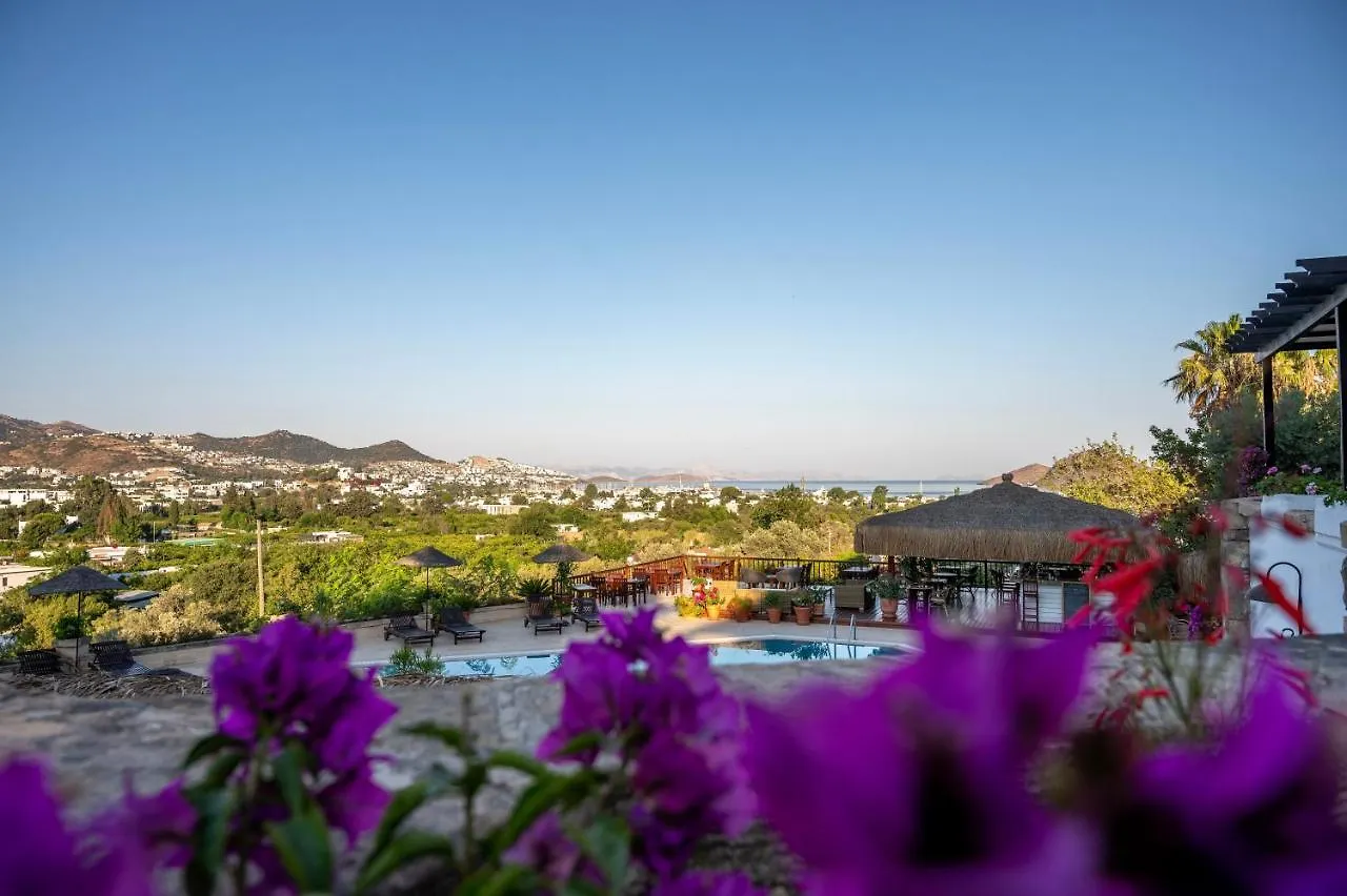 ****  4Reasons Hotel + Bistro | 12+ Yalıkavak Turquie