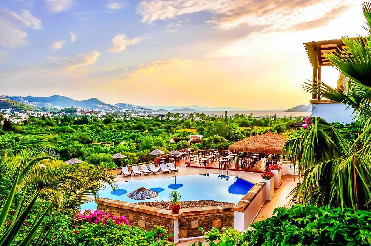 Contacts de 4Reasons Hotel + Bistro | 12+